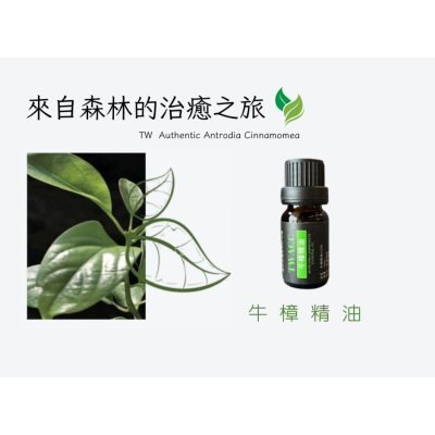 牛樟精油 單瓶 10ml