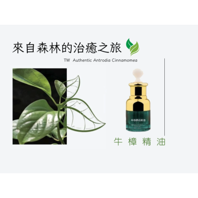 牛樟精油(精裝)20ml