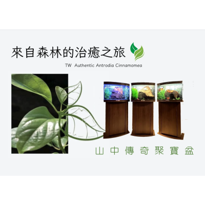 山中傳奇聚寶盆